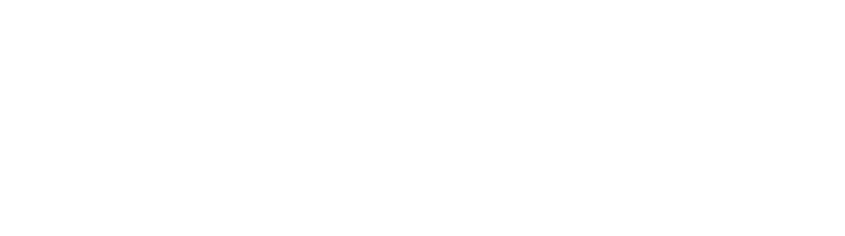 Frontino IT Consulting